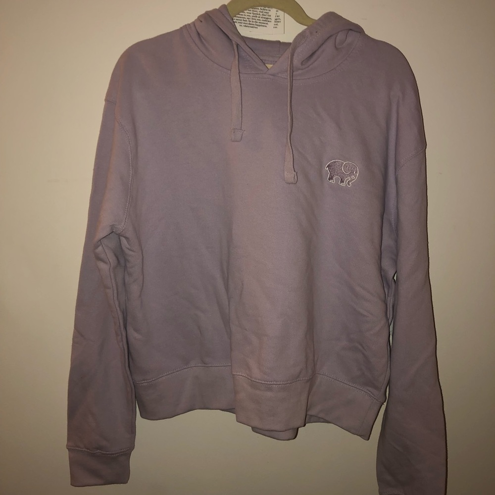 NWT Amethyst Organic Cropped Ivory Ella Hoodie XL